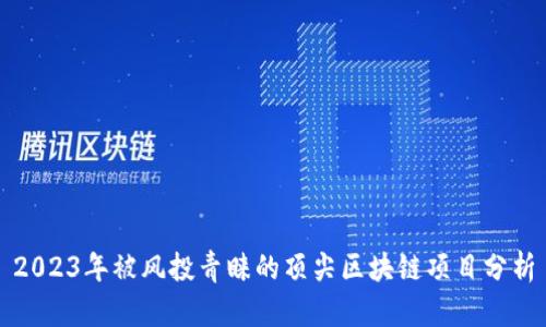 2023年被风投青睐的顶尖区块链项目分析